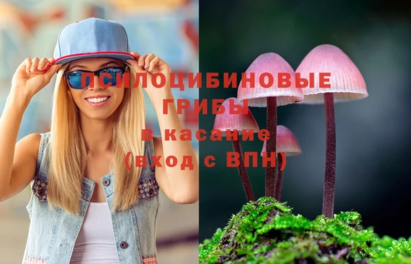 гидропоника Алексеевка