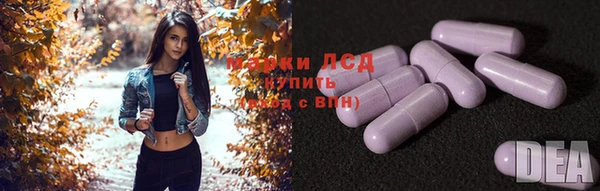 шишки Алзамай